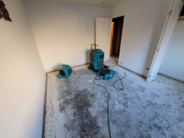 Best Water damage restoration near me  in Crawford, GA